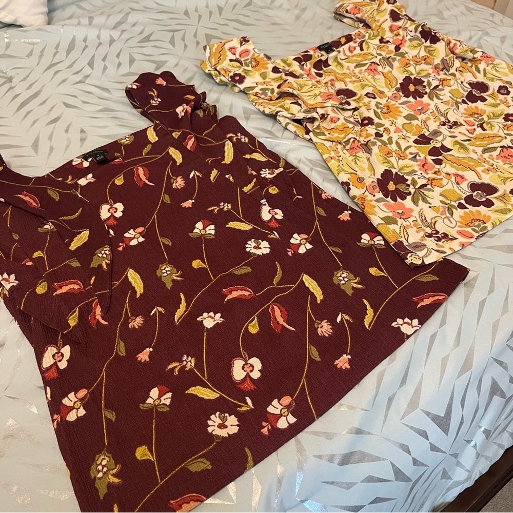 Ann Taylor